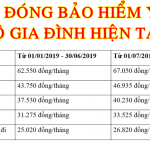 MUC DONG BAO HIEM Y TE HO GIA DINH HIEN TAI